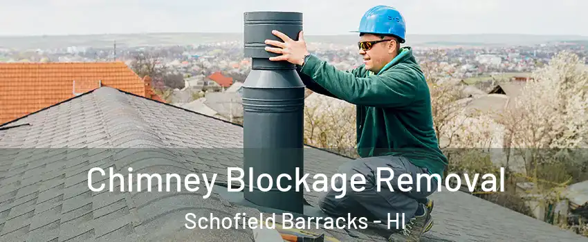 Chimney Blockage Removal Schofield Barracks - HI