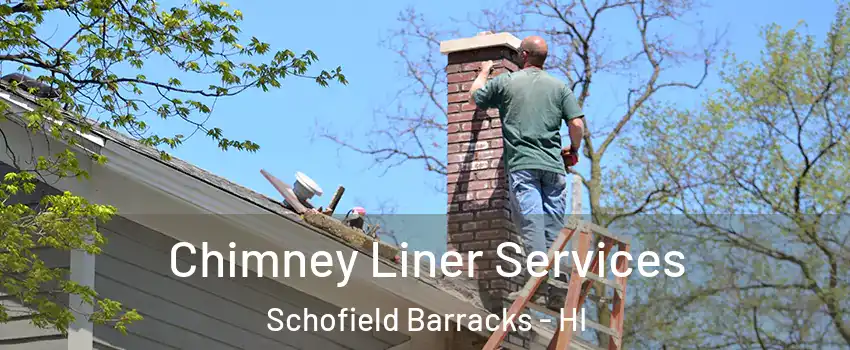  Chimney Liner Services Schofield Barracks - HI