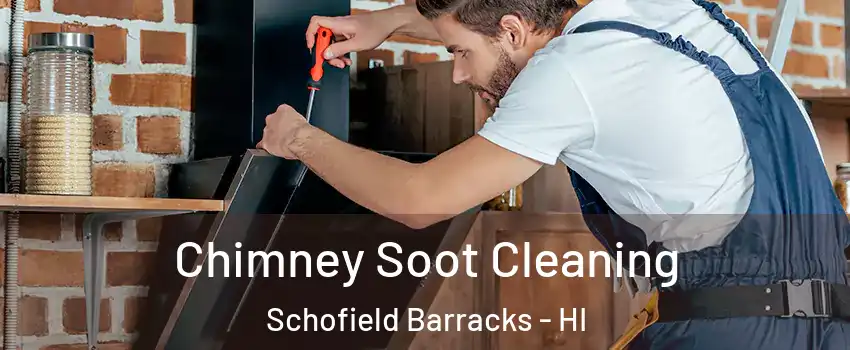  Chimney Soot Cleaning Schofield Barracks - HI
