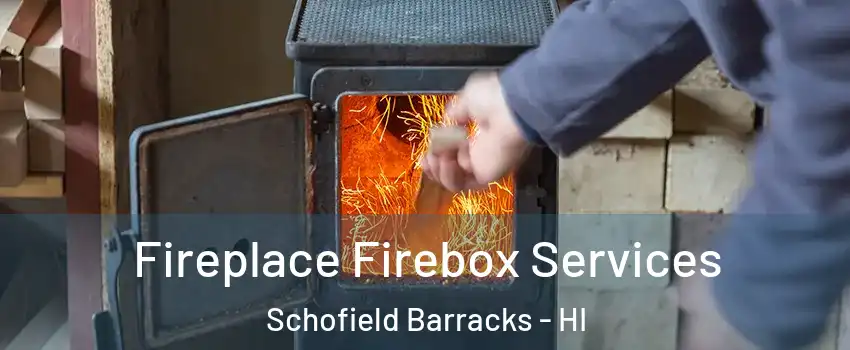  Fireplace Firebox Services Schofield Barracks - HI