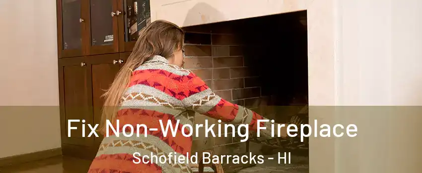  Fix Non-Working Fireplace Schofield Barracks - HI