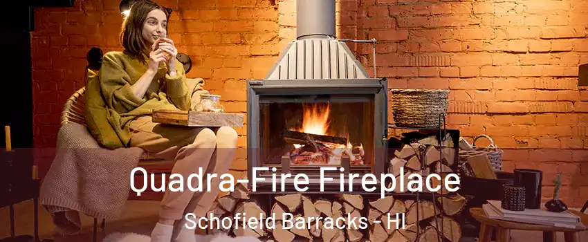  Quadra-Fire Fireplace Schofield Barracks - HI